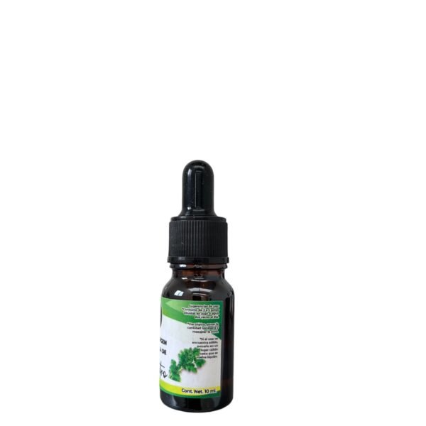 Aceite Virgen de Semilla de Cilantro (10 ml) - Image 3