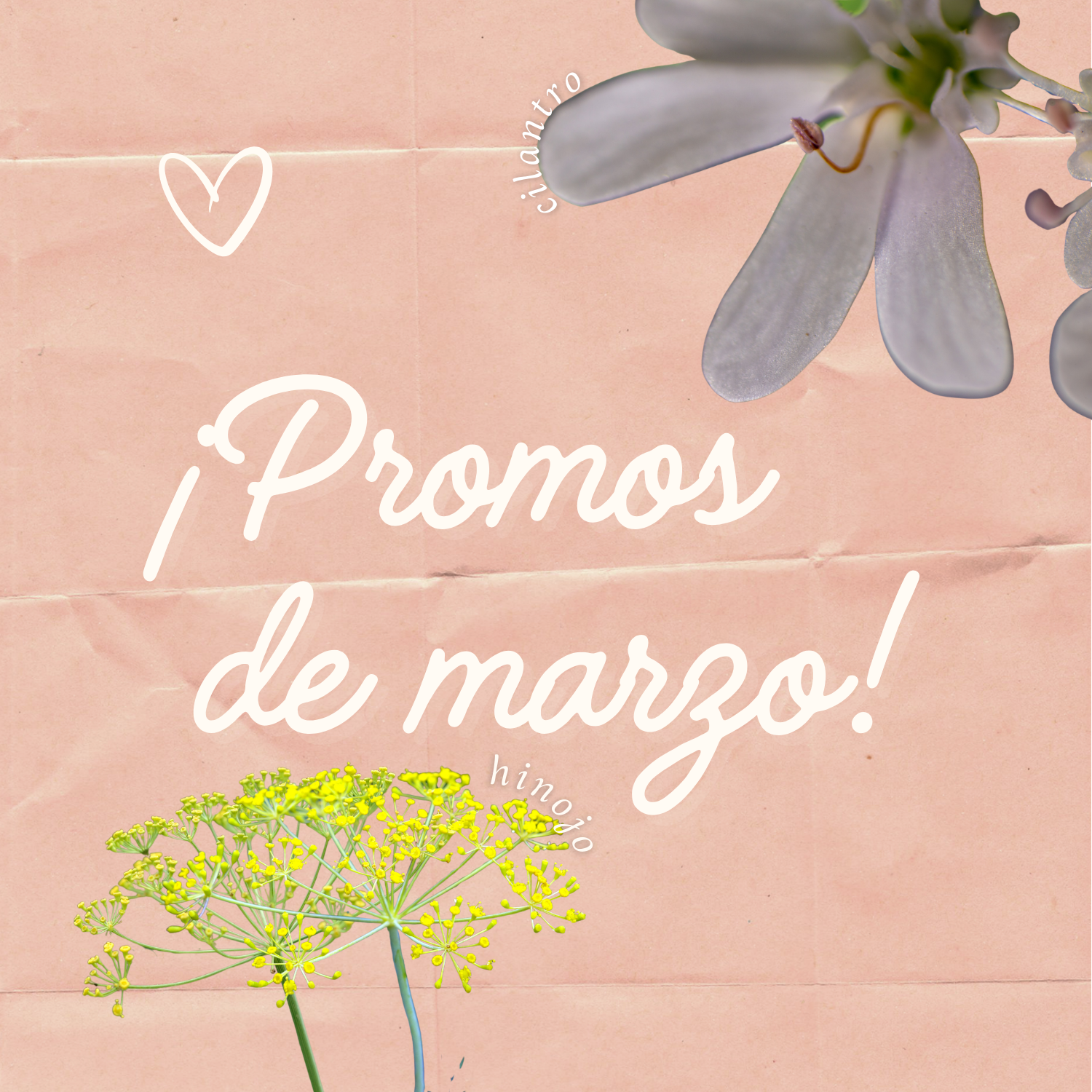 Rosa y Blanco Moderno Flor Post para Instagram (1500 x 1500 px)